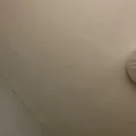 asian woman white top