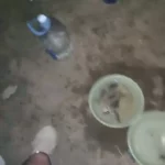 Japanese Petite Blowjob: Slim Girl Rides Dick by River in Steamy Bedroom 8 slim asian outdoor sex