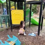 asian petite stockings outdoor