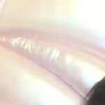 petite chinese girl rides orange dildo