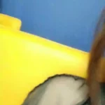 petite japanese girl dildo