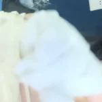 Japanese Petite Dildo Solo — Slim Asian Girl Fucks Herself in Bedroom 9 japanese petite dildo