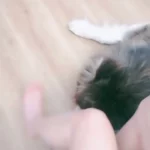 slim asian nude bedroom