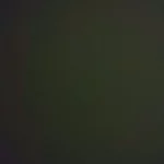 Japanese Petite Blowjob