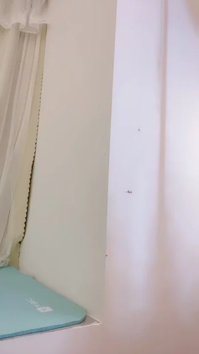 Screenshot 8 from Japanese Amateur POV Creampie — Voluptuous Lingerie Model with Dildo Action [FC2-PPV]