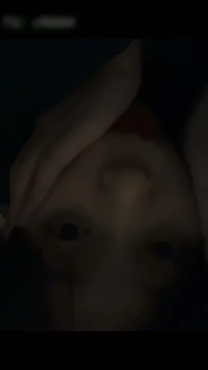 Screenshot 10 from Raw Japanese POV Livestream — Amateur Fingers Herself in Sheer Lingerie